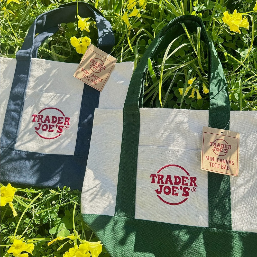 COPY - Trader Joe’s Mini Tote Bag in Green and Blue